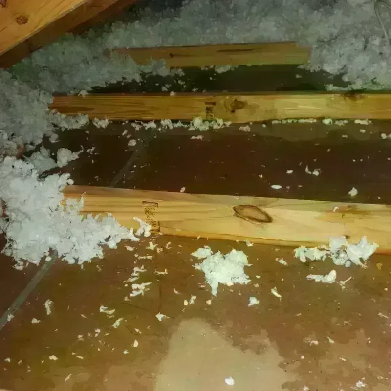 Attic Water Damage in Terrace Heights, WA